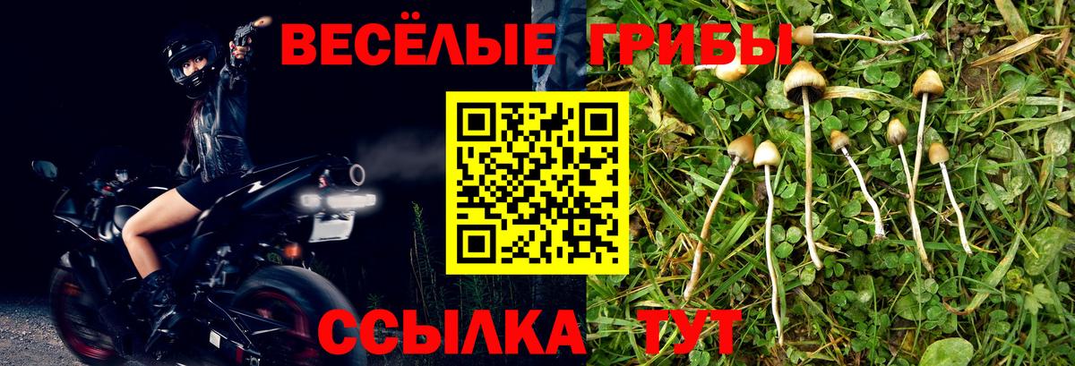 Псилоцибиновые грибы ЛСД Воткинск